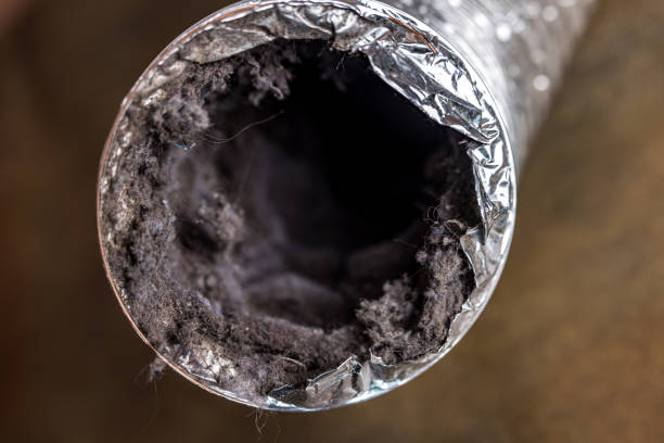 Best Professional Duct Cleaning Services  in Chevy Chase Heights, PA